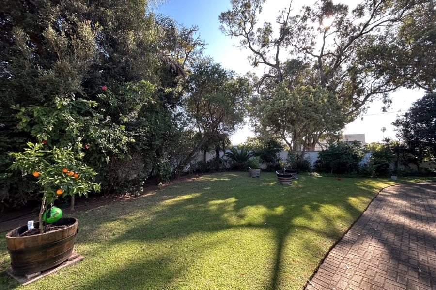 Commercial Property for Sale in Walmer Eastern Cape